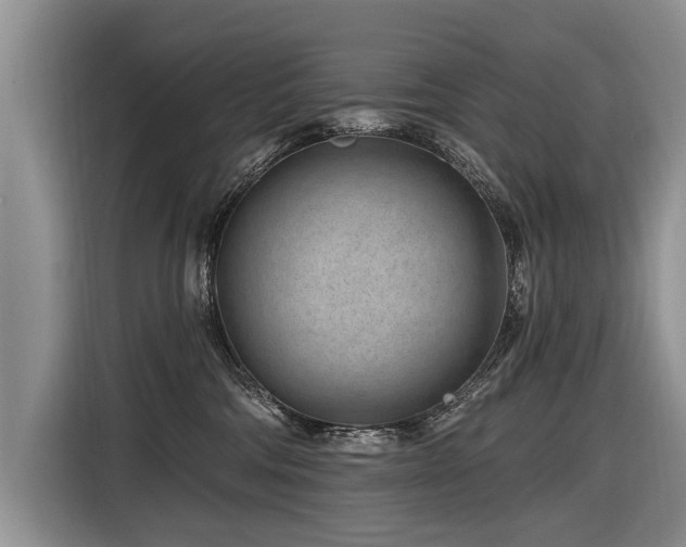 X0000116890330200912221458