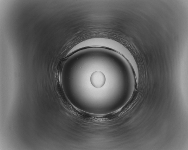 X0000116890332200912221458