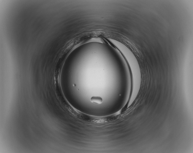 X0000116890333200912221458