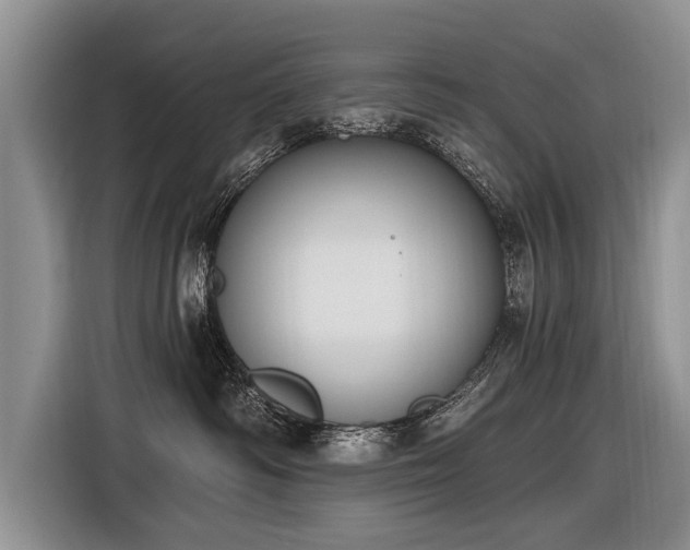 X0000116890334200912221458