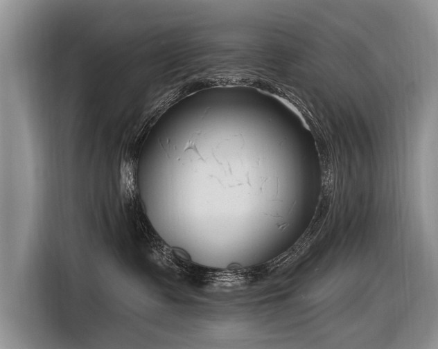 X0000116890335200912221458