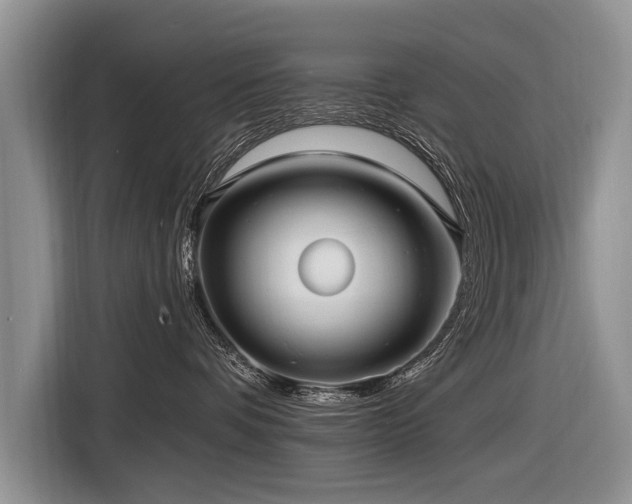 X0000116890336200912221458