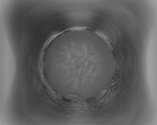 X0000116890337200912221458
