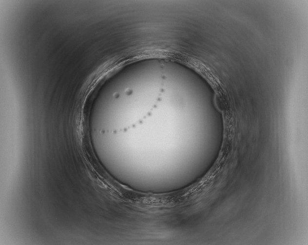 X0000116890338200912221458