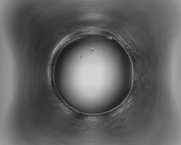 X0000116890341200912221458
