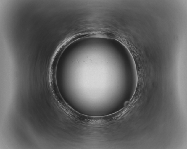 X0000116890342200912221458