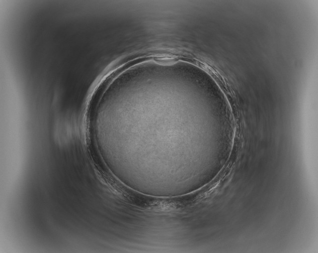 X0000116890343200912221458