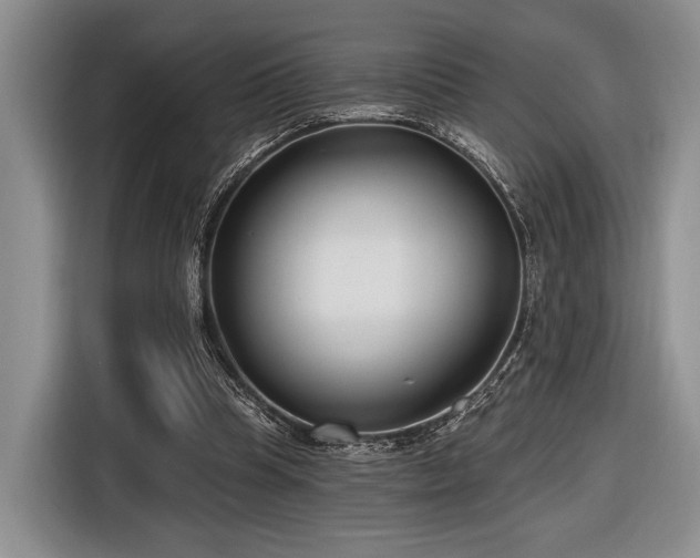 X0000116890345200912221458