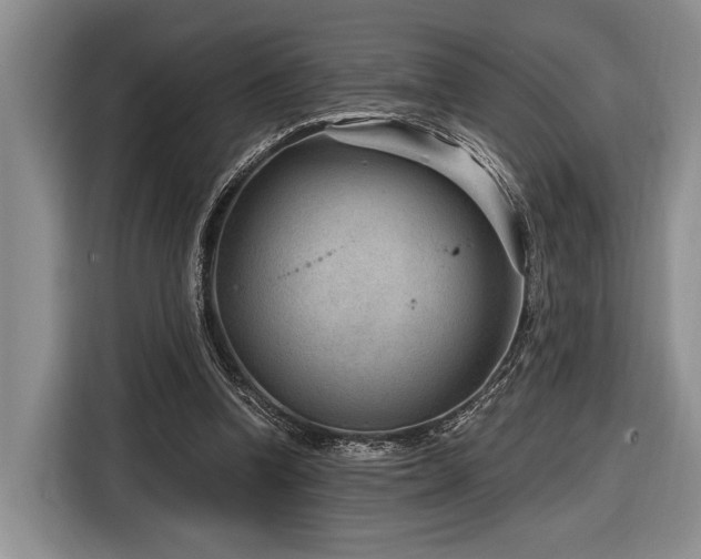 X0000116890346200912221458