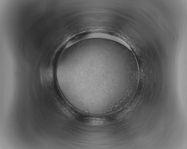 X0000116890347200912221458
