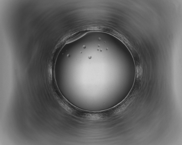 X0000116890349200912221458