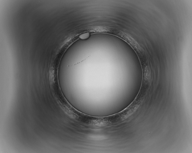 X0000116890351200912221458