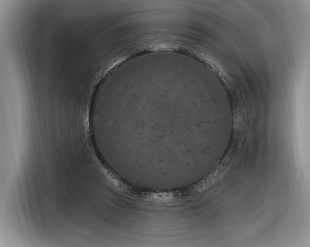 X0000116890353200912221458