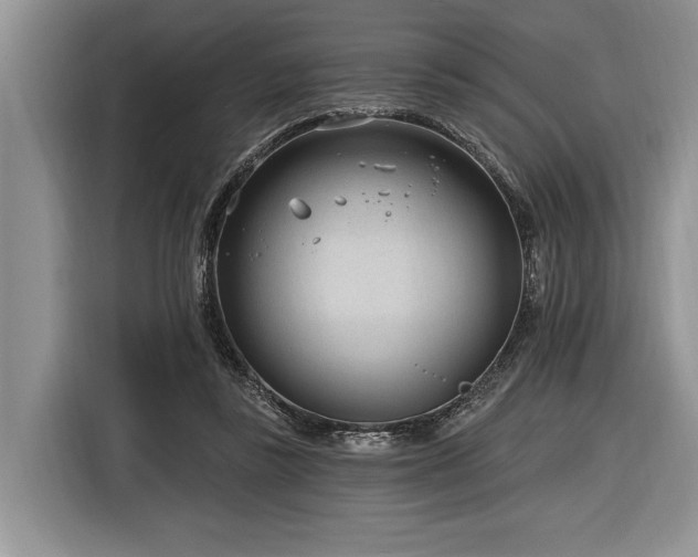 X0000116890355200912221458