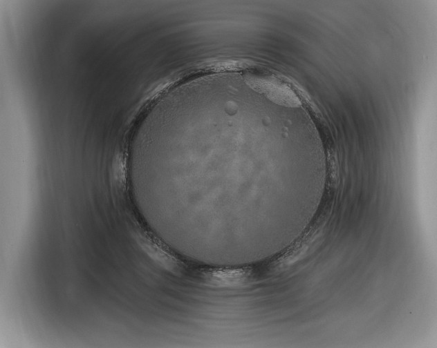 X0000116890357200912221458