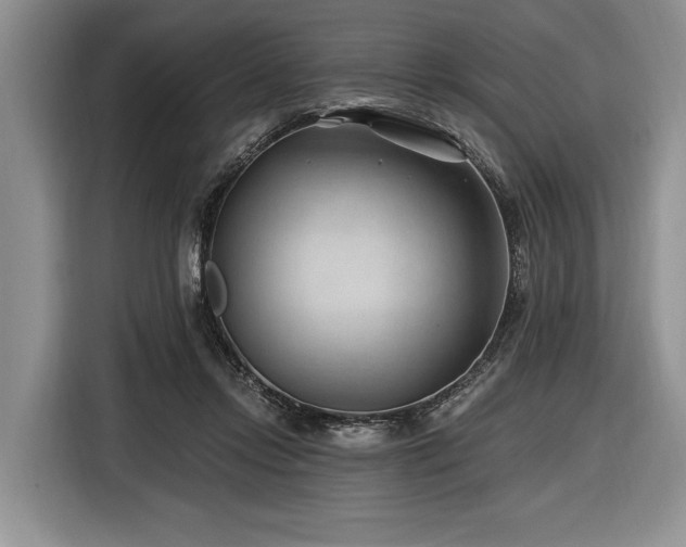 X0000116890358200912221458