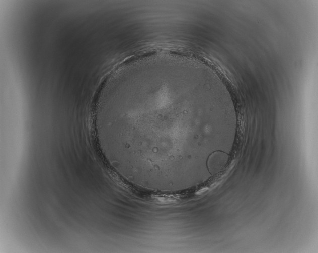 X0000116890359200912221458