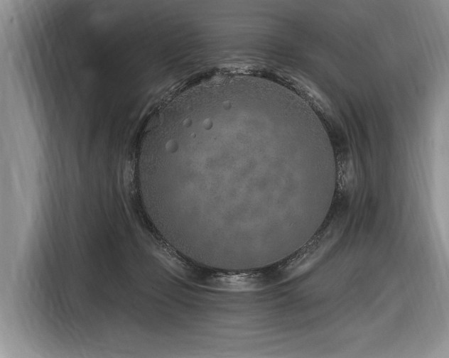 X0000116890365200912221458
