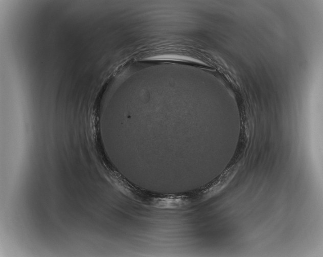 X0000116890366200912221458