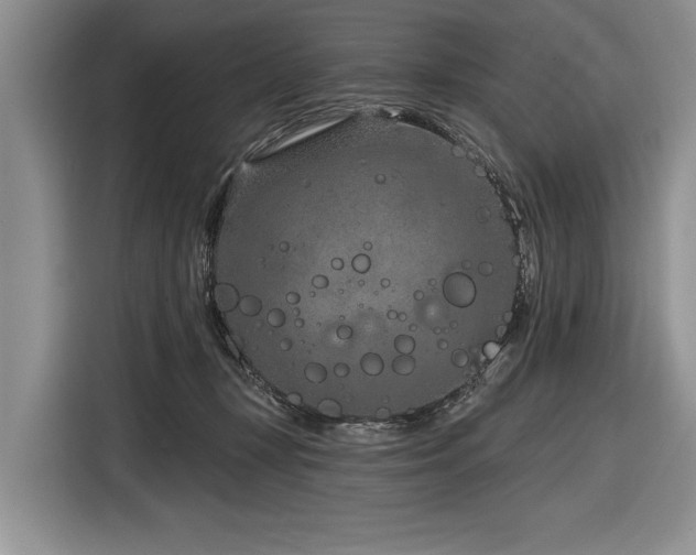 X0000116890367200912221458