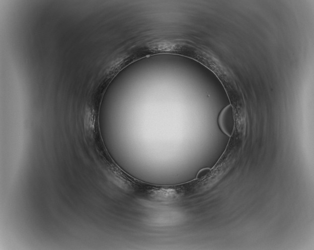 X0000116890374200912221458