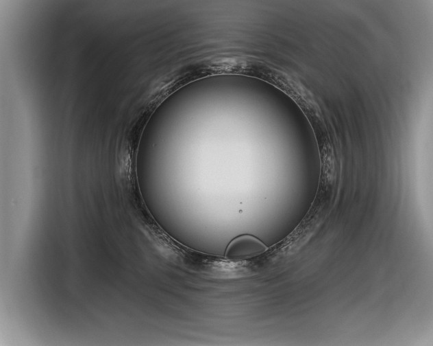 X0000116890375200912221458