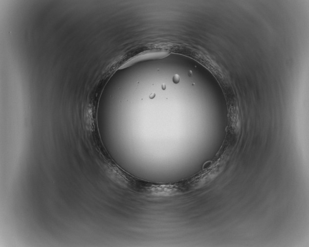 X0000116890378200912221458