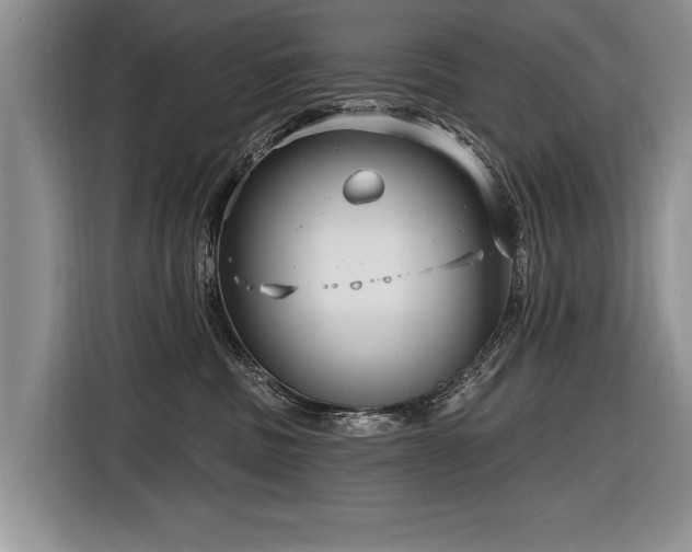 X0000116890379200912221458