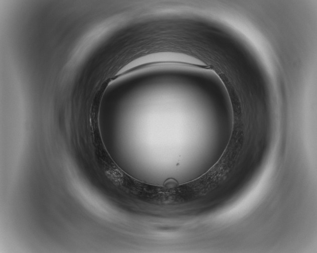 X0000116890382200912221458