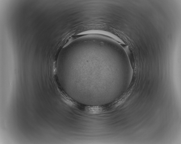 X0000116890383200912221458