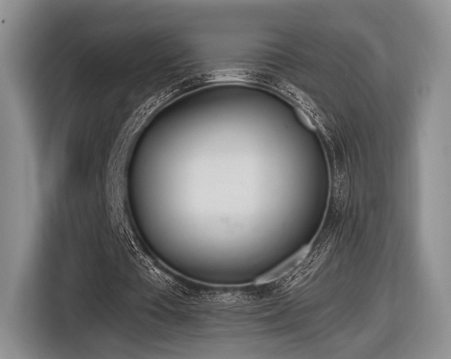 X0000116890385200912221458