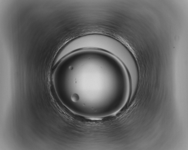 X0000116890386200912221457