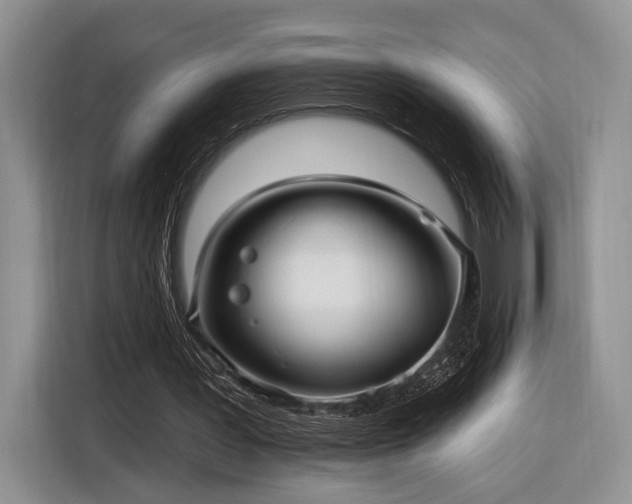 X0000116890387200912221457
