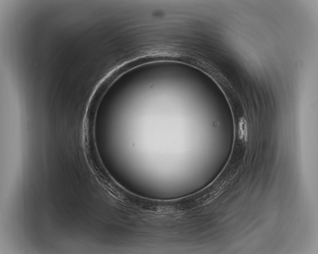 X0000116890388200912221457