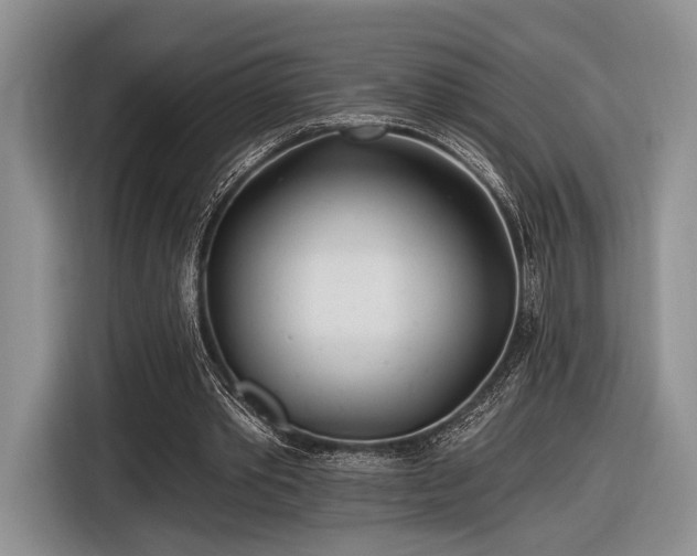 X0000116890389200912221457