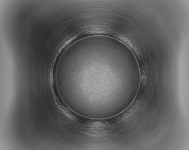 X0000116890390200912221457