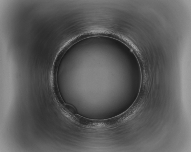 X0000116890391200912221457