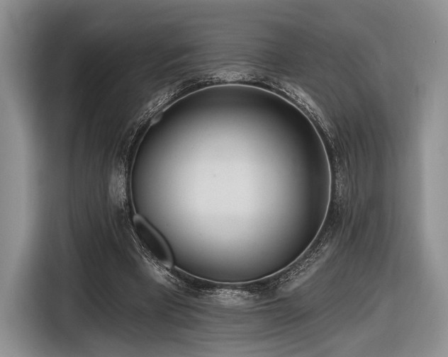 X0000116890393200912221457