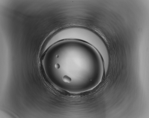 X0000116890395200912221457