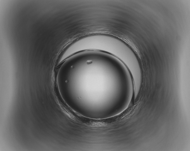 X0000116890397200912221457