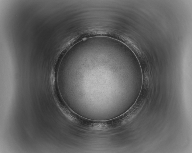X0000116890398200912221457