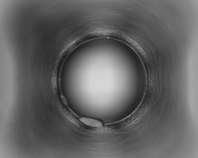 X0000116890399200912221457