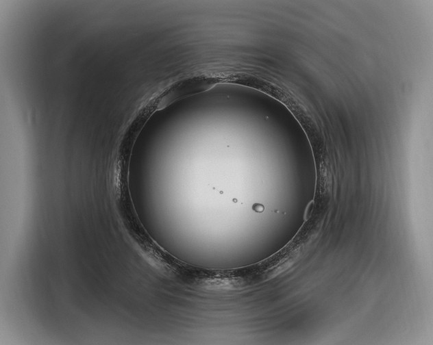 X0000116890404200912221457