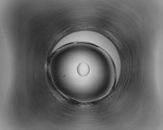 X0000116890405200912221457
