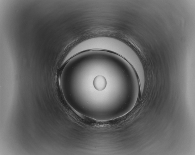 X0000116890407200912221457