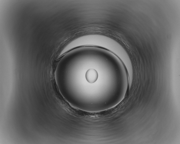 X0000116890411200912221457