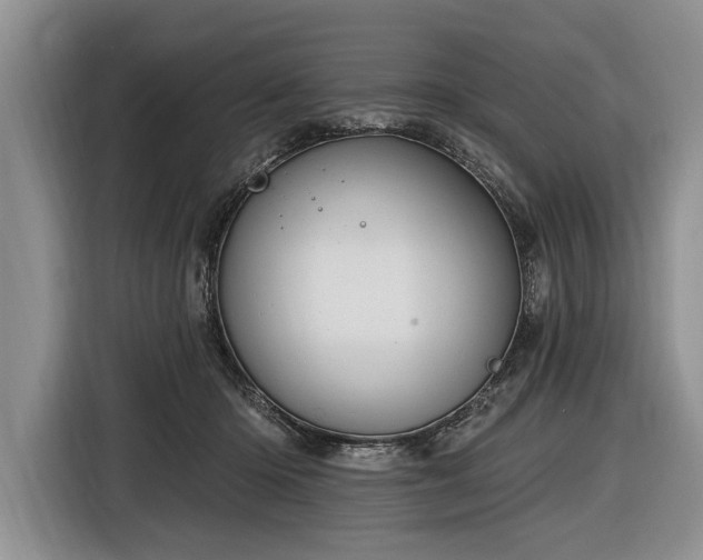 X0000116890414200912221457