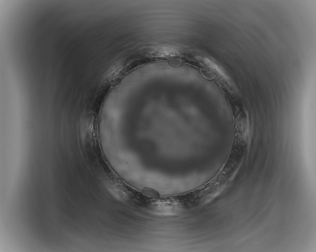 X0000116890415200912221457