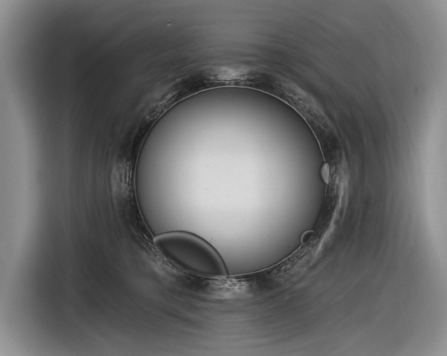 X0000116890421200912221457