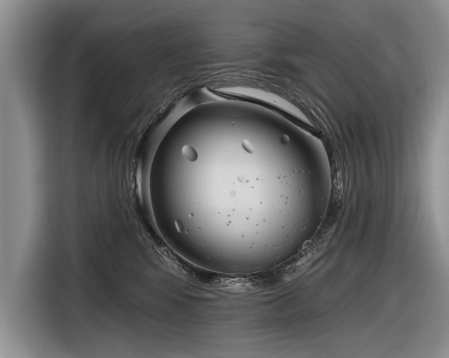 X0000116890424200912221457